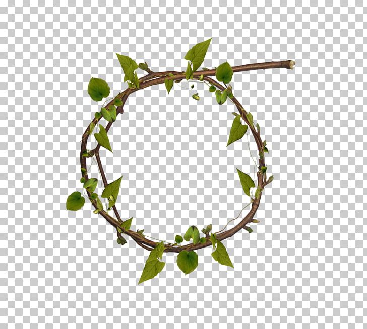 Tree Ring PNG, Clipart, Autumn Tree, Border, Branch, Branches, Christmas Tree Free PNG Download