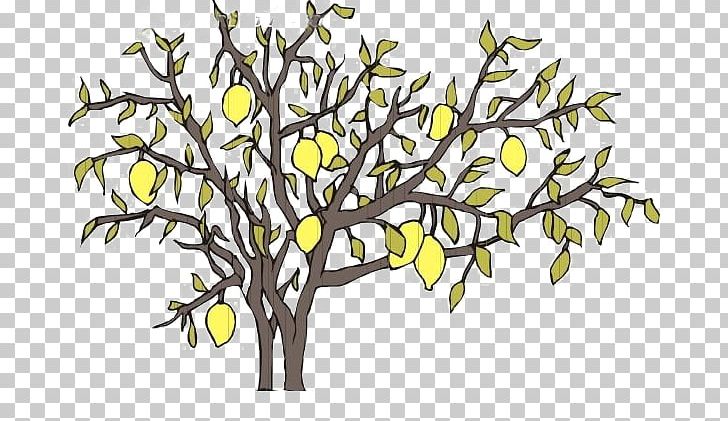 Asian Pear Pyrus Xd7 Bretschneideri PNG, Clipart, Adobe Illustrator, Apple, Asian Pear, Autumn Tree, Branch Free PNG Download