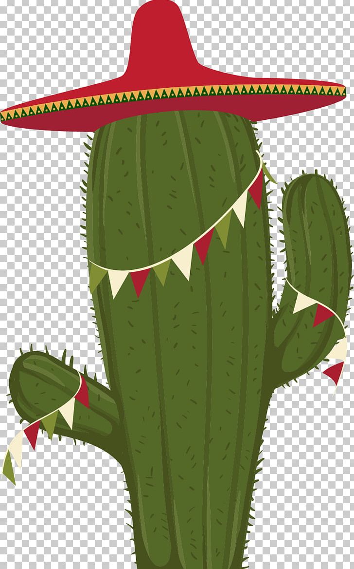 Cactaceae Euclidean Saguaro PNG, Clipart, Boy Cartoon, Cactus, Cactus Vector, Cartoon, Cartoon Character Free PNG Download
