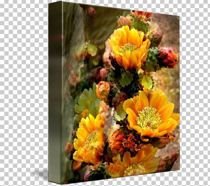 Floral Design Cut Flowers Gallery Wrap Flower Bouquet PNG, Clipart, Art, Cactaceae, Calendula, Canvas, Cut Flowers Free PNG Download