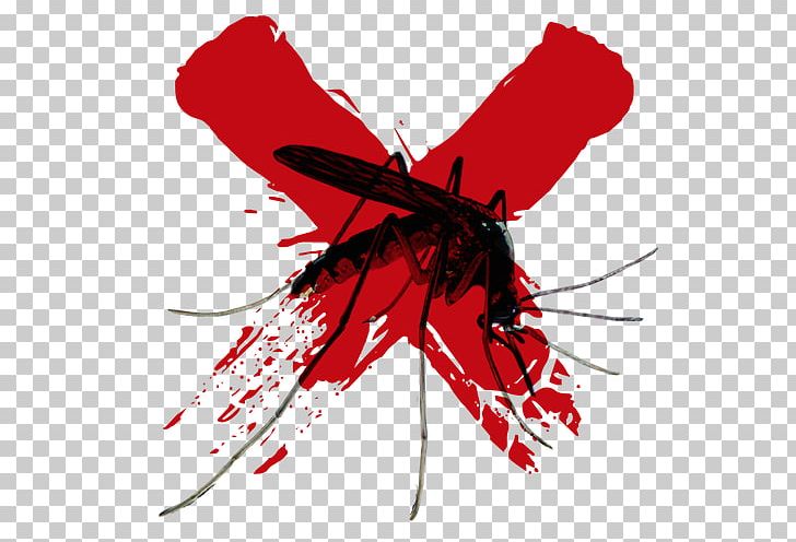 Mosquito Insect Line PNG, Clipart, Arthropod, Butterfly, Graphic Design, Insect, Insects Free PNG Download