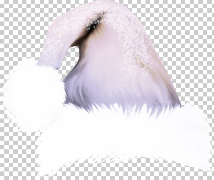White Feather PNG, Clipart, Animals, Background White, Beak, Bird, Black White Free PNG Download