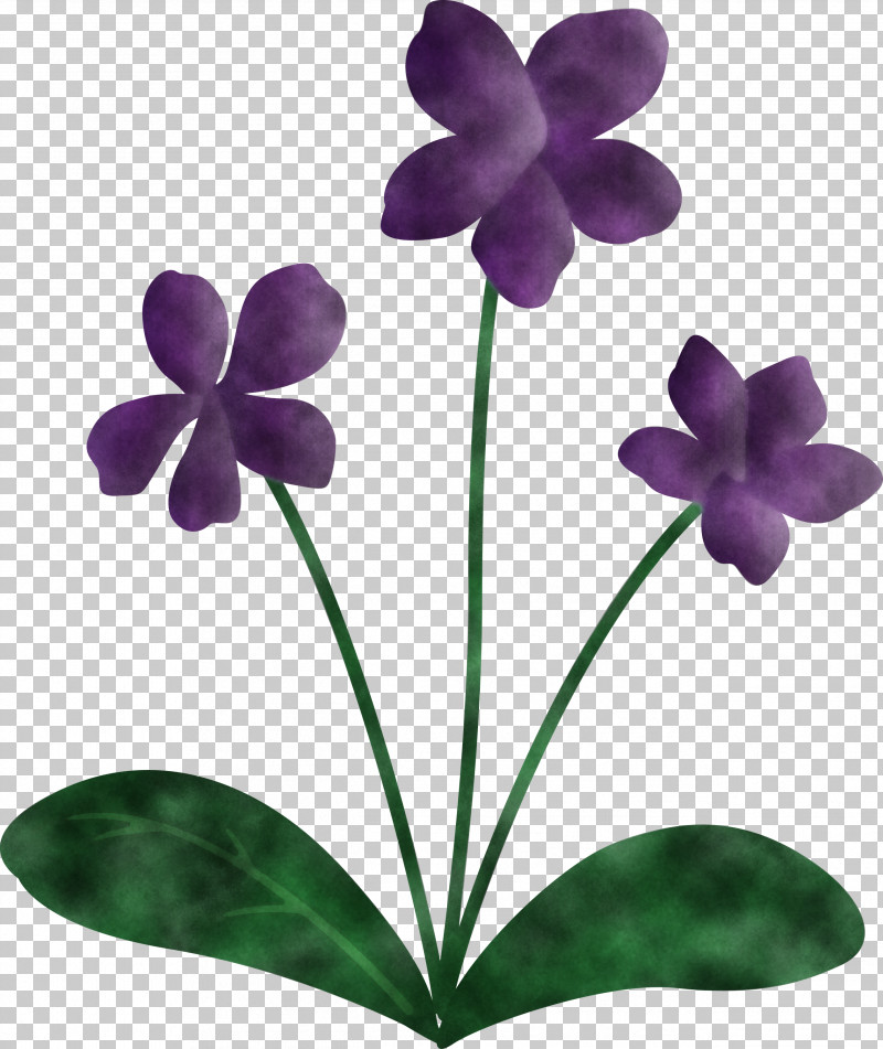 Violet Flower PNG, Clipart, Biology, Flower, Herbaceous Plant, Leaf, Moth Orchids Free PNG Download