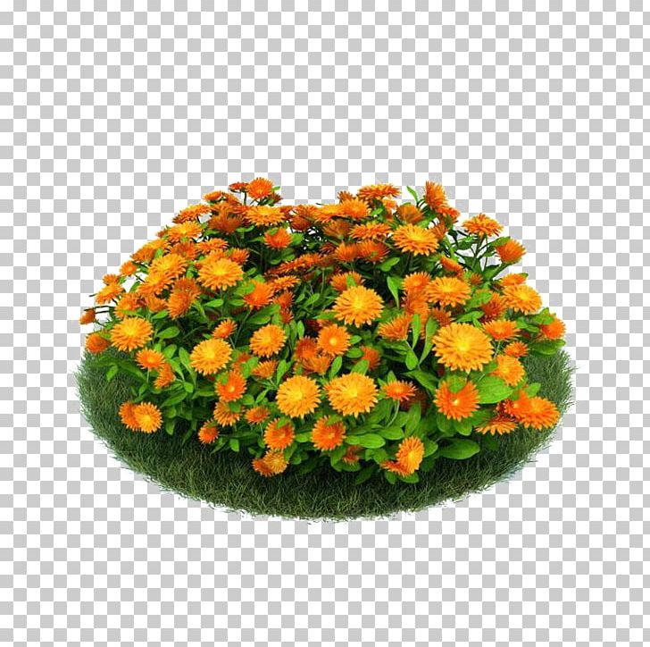 3D Computer Graphics 3D Modeling Flower Garden Seed PNG, Clipart, 3d Computer Graphics, Annual Plant, Calendula, Calendula Material, Chrysanths Free PNG Download