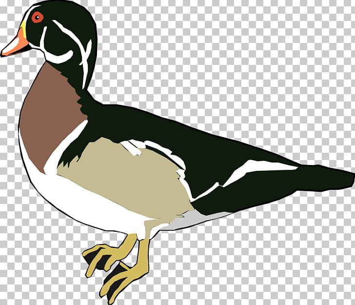 Donald Duck American Pekin Mallard PNG, Clipart, American Pekin, Artwork, Beak, Bird, Donald Duck Free PNG Download