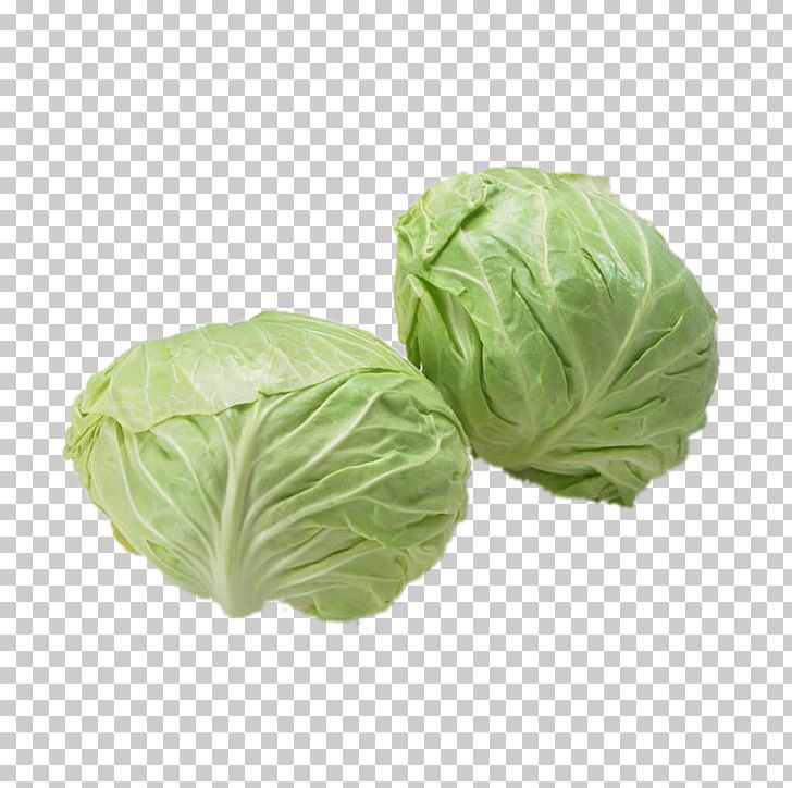 Napa Cabbage Vegetable Food Eating PNG, Clipart, Brassica, Brassica Oleracea, Brassica Rapa, Cabbage, Cabbage Family Free PNG Download