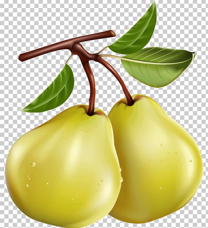 Asian Pear Desktop PNG, Clipart, Adobe After Effects, Apple, Asian Pear, Bosc Pear, Desktop Wallpaper Free PNG Download