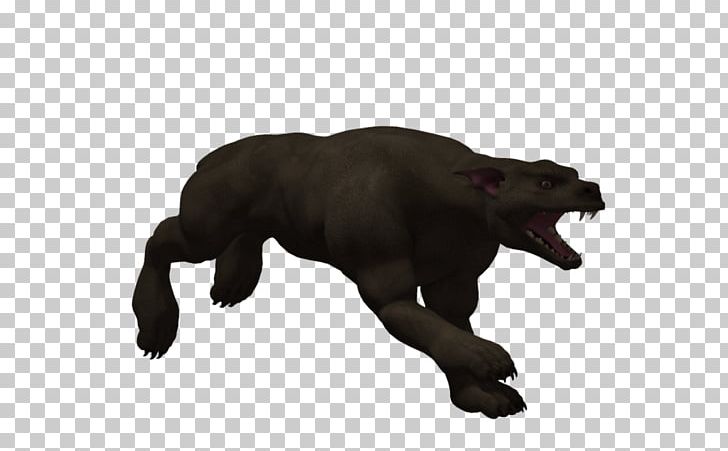 Dog Canidae Snout Terrestrial Animal Wildlife PNG, Clipart, Animal, Animals, Bear, Canidae, Carnivoran Free PNG Download
