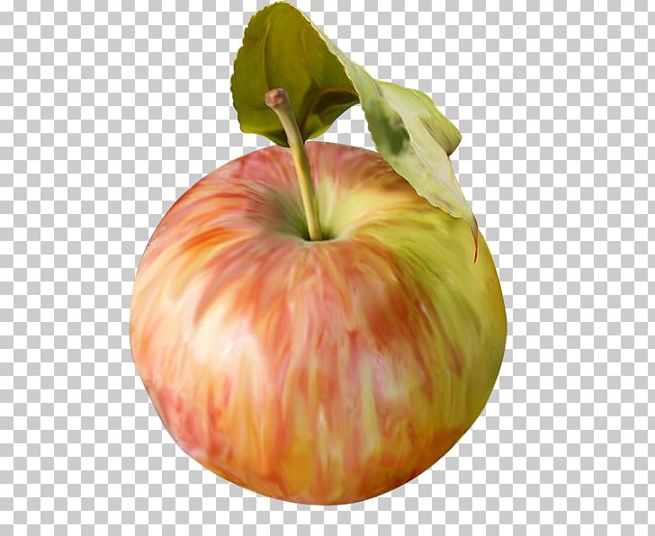 Food Drawing Vegetable Fruit PNG, Clipart, 3d Computer Graphics, Apple, Autumn, Cartoon, Drawing Free PNG Download