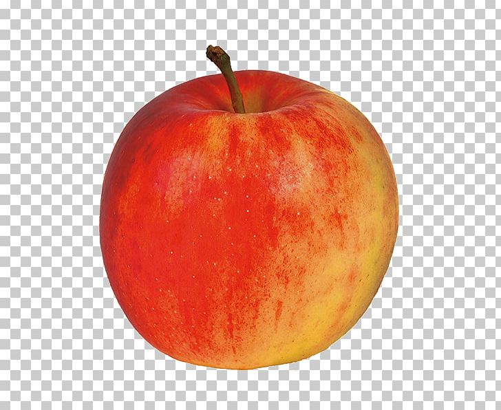 McIntosh Red Apple Jonagold Northern Spy Fruit PNG, Clipart, Apple, Braeburn, Cultivar, Elstar, Food Free PNG Download