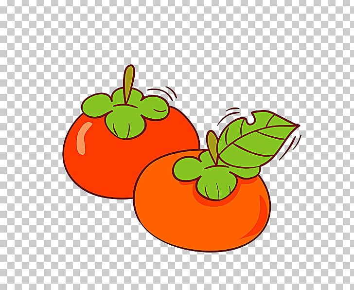 Tomato Vegetable Illustration PNG, Clipart, Area, Basil, Beefsteak Tomato, Cartoon, Cherry Tomato Free PNG Download