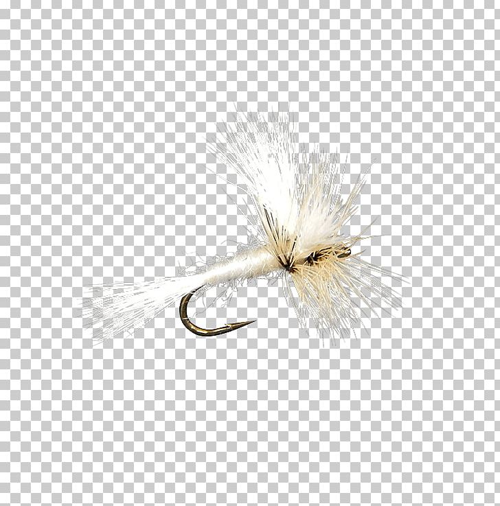 Artificial Fly Insect Wing PNG, Clipart,  Free PNG Download