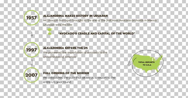 Brand Line Font PNG, Clipart, Area, Avocado Production In Mexico, Brand, Diagram, Green Free PNG Download