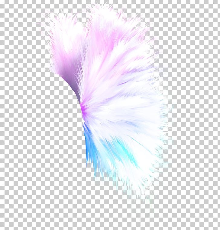 Feather Idea Pinnwand PNG, Clipart, Aile, Animals, Art, Bird, Cari Free PNG Download