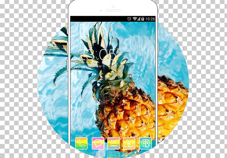 Pineapple Desktop Photography PNG, Clipart, Ananas, Bromeliaceae, Canvas, Computer Monitors, Desktop Wallpaper Free PNG Download