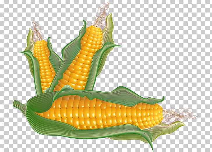 Winter Vegetable Fruit Maize PNG, Clipart, Beetroot, Broccoli, Commodity, Computer Icons, Corn On The Cob Free PNG Download