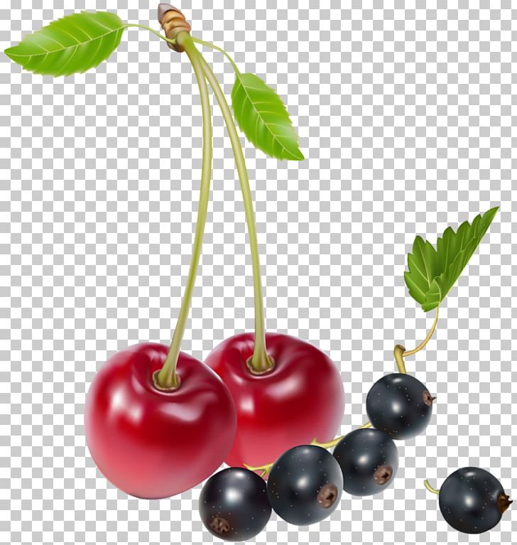Cherry Fruit PNG, Clipart, Apricot, Berry, Blueberries, Blueberry, Cherry Free PNG Download