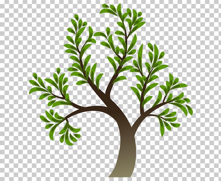 Drawing Logo PNG, Clipart, Art, Branch, Business, Drawing, Flower Free PNG Download