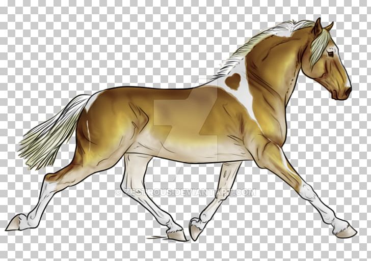 Foal Stallion Mustang Mare Pony PNG, Clipart, Animal Figure, Bridle, Colt, Deviantart, Equus Free PNG Download
