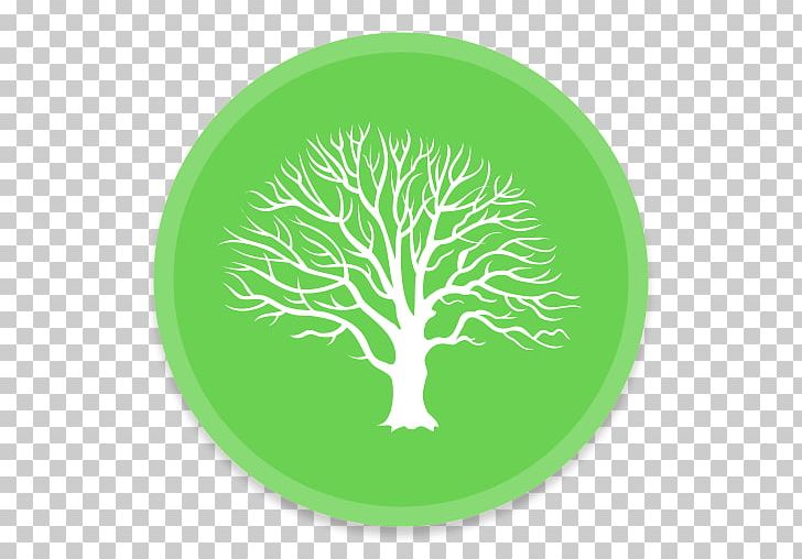 Genealogy Family Tree MacFamilyTree History PNG, Clipart, Circle, Computer Icons, Diagram, Family, Family History Society Free PNG Download