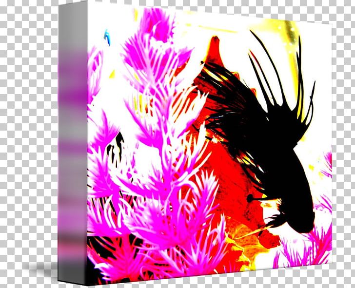 Graphic Design Desktop Pink M PNG, Clipart, Art, Betta, Computer, Computer Wallpaper, Desktop Wallpaper Free PNG Download