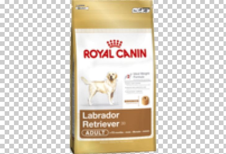 Labrador Retriever German Shepherd Cat Dog Food Royal Canin PNG, Clipart, Animals, Breed, Carnivoran, Cat, Dog Free PNG Download