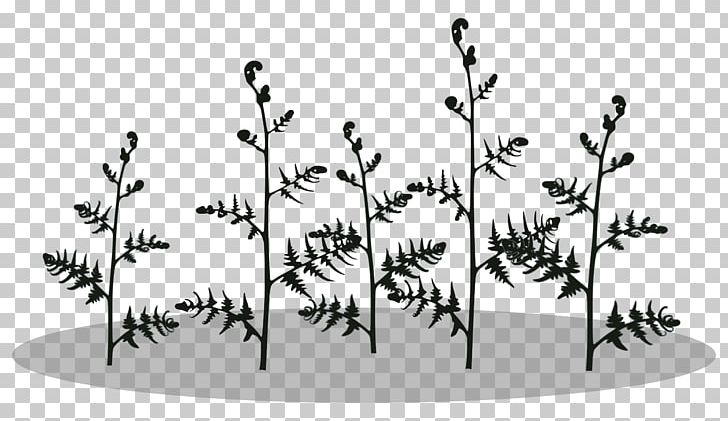Plant Stem Fern Burknar Silhouette Vascular Plant PNG, Clipart, Angle, Animals, Black, Black And White, Branch Free PNG Download