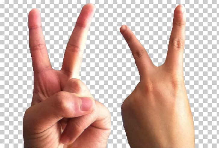 The Finger V Sign Middle Finger Index Finger PNG, Clipart, Digit, Finger, Gesture, Hand, Hand Model Free PNG Download