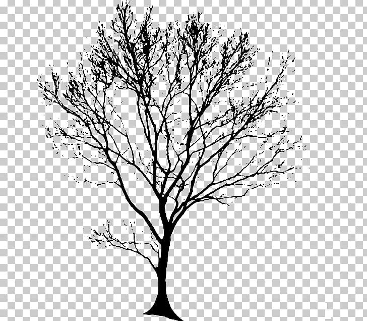 Drawing Tree PNG, Clipart, Art, Black And White, Branch, Desktop Wallpaper, Drawing Free PNG Download