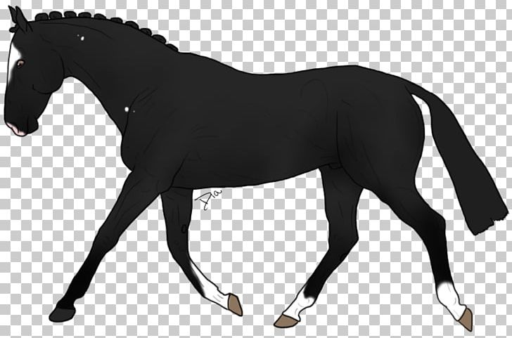 Mustang Stallion Mare Lipizzan Appaloosa PNG, Clipart, Animal Figure, Appaloosa, Bit, Black, Black And White Free PNG Download