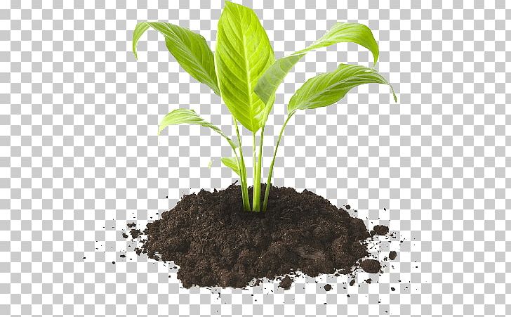 Potting Soil Humus Compost Fertilisers PNG, Clipart, Agriculture, Compost, Earthworm, Fertilisers, Flowerpot Free PNG Download