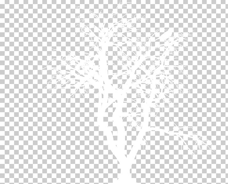 White Black Pattern PNG, Clipart, Angle, Black, Black And White, Branches, Christmas Tree Free PNG Download