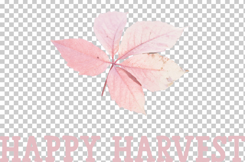 Happy Harvest Harvest Time PNG, Clipart, Biology, Flower, Happy Harvest, Harvest Time, Leaf Free PNG Download