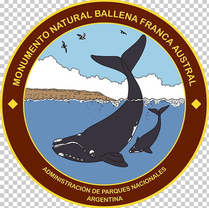 Campo De Los Alisos National Park Marine Mammal Southern Right Whale Baritú National Park Laguna De Los Pozuelos PNG, Clipart, Argentina, Balaenidae, Brand, Fauna, Fish Free PNG Download