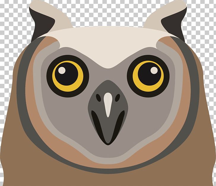 Owl Cartoon PNG, Clipart, Animals, Bird, Carnivoran, Cartoon, Cartoon Character Free PNG Download