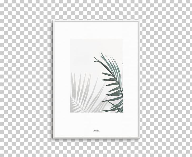 Photography Poster Frames Art Printmaking PNG, Clipart, Art, Feather, Fineart Photography, Flower, House Free PNG Download