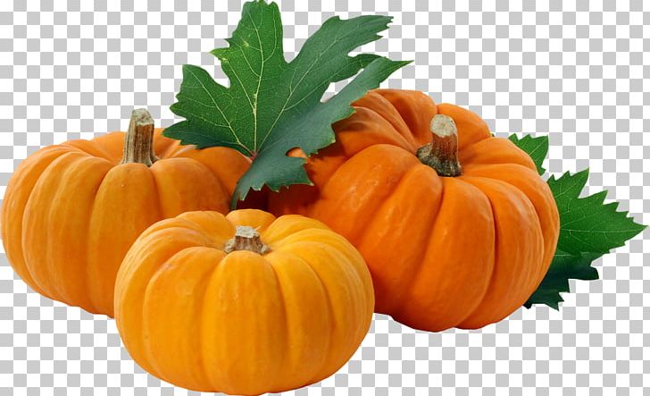Pumpkin Pie Gourd Goomeri Winter Squash PNG, Clipart, Goomeri, Gourd, Pumpkin Pie, Winter Squash Free PNG Download