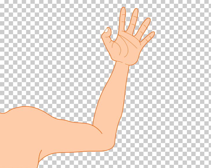 Arm Muscle Human Body PNG, Clipart, Ak47 Cliparts, Arm, Cartoon, Ear, Elbow Free PNG Download