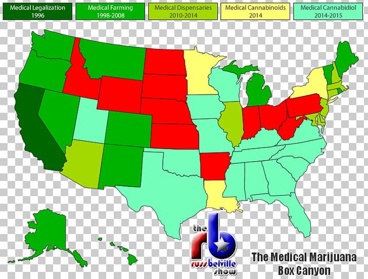 Law Medicaid License Brereton Architects Legislation PNG, Clipart, Area, Diagram, Gun Laws In Florida, Health Care, Health Law Free PNG Download