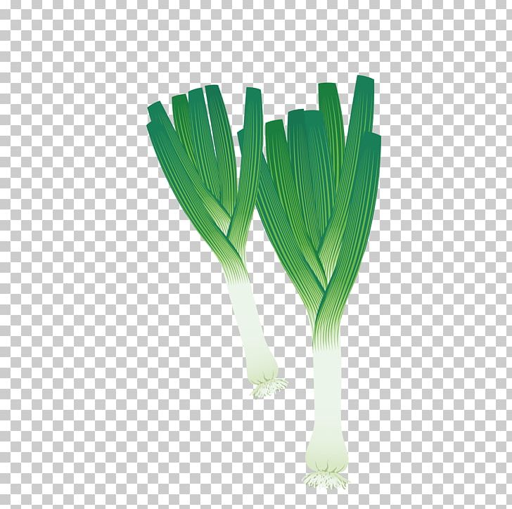 Leek Vegetable Scallion PNG, Clipart, Cartoon, Drawing, Fresh, Fresh Fruit, Fresh Juice Free PNG Download