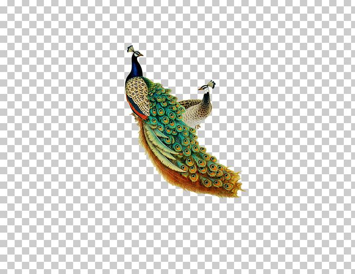 Peafowl Chinese Zodiac Mural Paper PNG, Clipart, Animal, Animals, Beak, Bird, Drawing Room Free PNG Download
