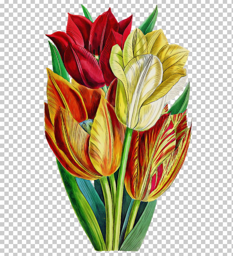 Floral Design PNG, Clipart, Biology, Cut Flowers, Floral Design, Flower, Flower Bouquet Free PNG Download