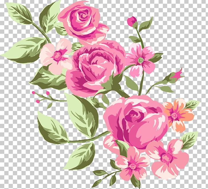 Garden Roses Cabbage Rose Floral Design Cut Flowers PNG, Clipart ...