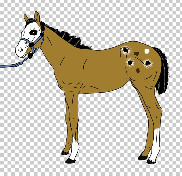 Mule Andalusian Horse Mustang Stallion Foal PNG, Clipart, Andalusian Horse, Animal Figure, Bit, Bridle, Colt Free PNG Download