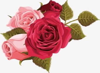 Pink Roses And Red Roses PNG, Clipart, Day, Flowers, Flowers, Pink, Pink Clipart Free PNG Download