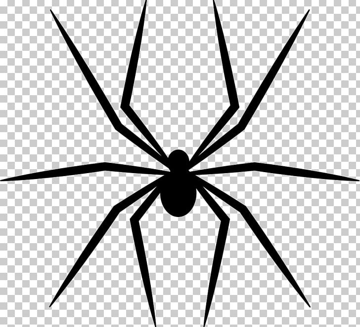 Spider Web Encapsulated PostScript PNG, Clipart, Angle, Apk, Arachnid, Arthropod, Black And White Free PNG Download