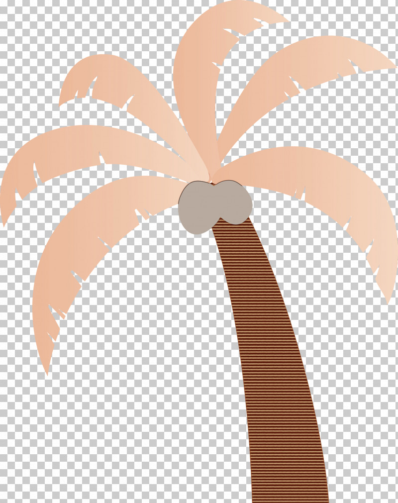 Palm Trees PNG, Clipart, Beach, Carrot, Cartoon, Cartoon Tree, Leaf Free PNG Download