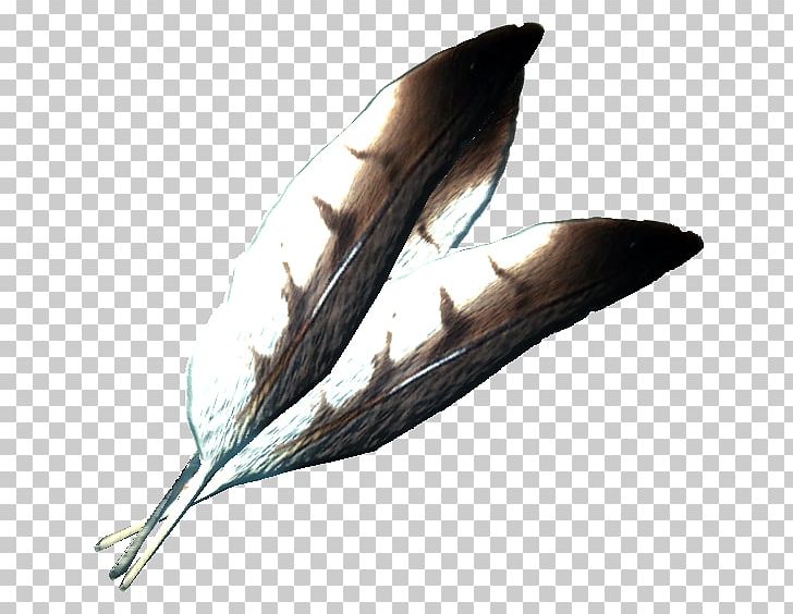 Feather The Elder Scrolls V: Skyrim – Dragonborn Wikia Potion PNG, Clipart, Alchemy, Animals, Armour, Body Armor, Cure Free PNG Download