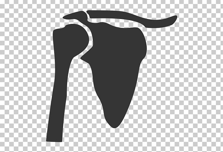 Fysiotherapie Fysio Evident Physical Therapy Adhesive Capsulitis Of Shoulder Thumb PNG, Clipart, Amyotrophic Lateral Sclerosis, Black, Black And White, Black M, Cattle Free PNG Download