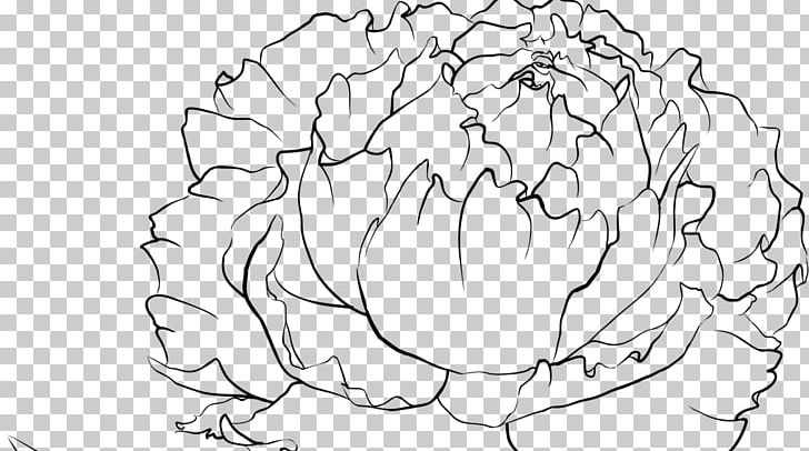 Peony Drawing Coloring Book Photography PNG, Clipart, Adult, Area, Artwork, Ausmalbild, Black And White Free PNG Download
